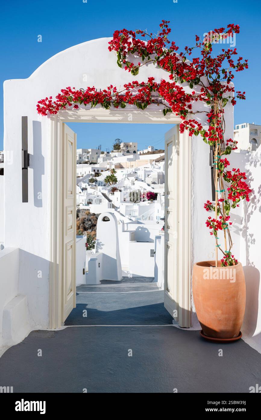 Vue sur les falaises de Santorin et le soleil à travers une arche avec une porte ouverte et bougainvilliers en fleurs, Cyclades, Grèce Banque D'Images