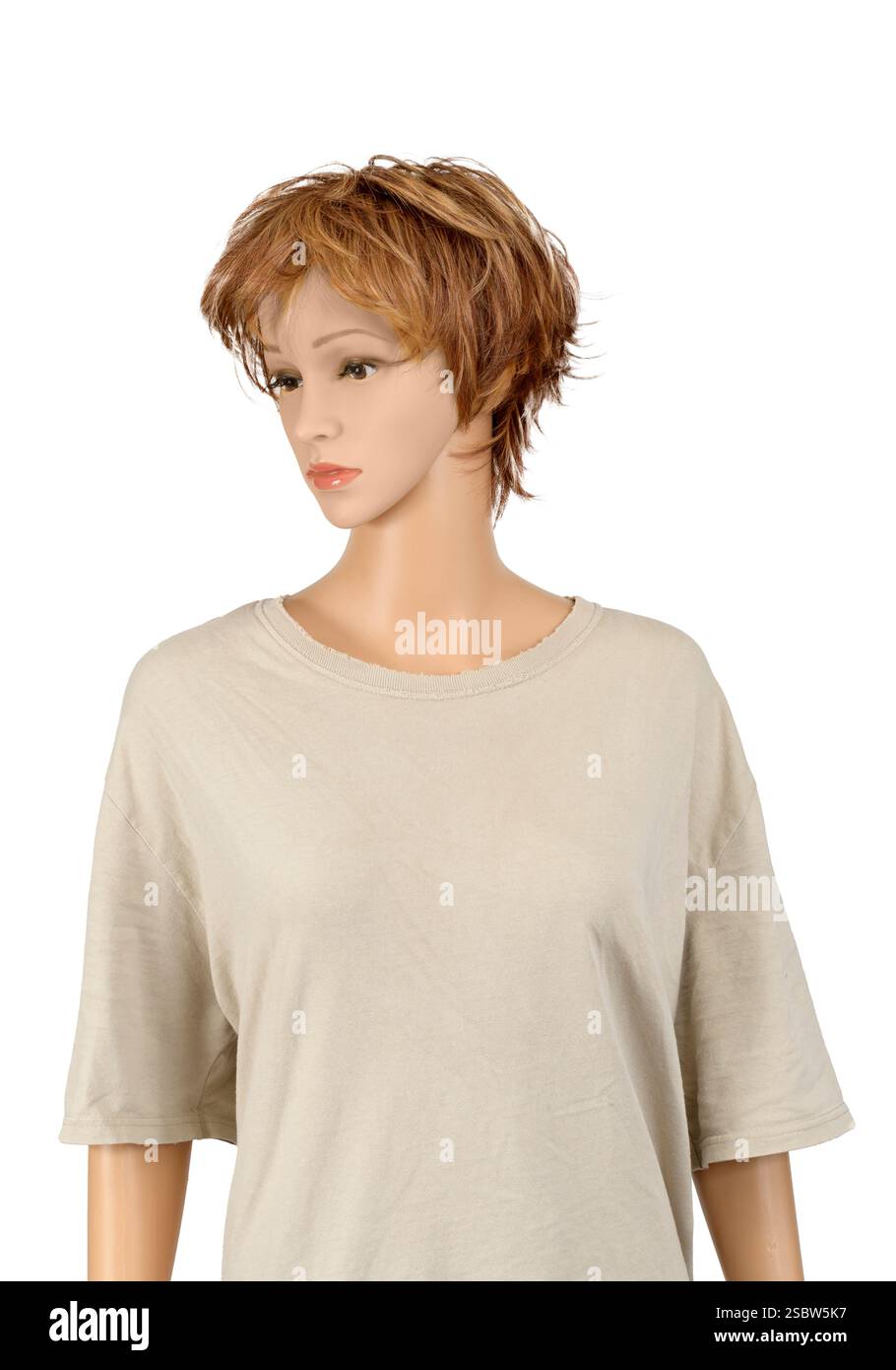 Plan vertical d'un mannequin féminin dans un tee-shirt vierge usé regardant loin. Banque D'Images