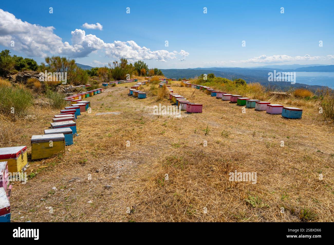 Ruches dans un champ près du village de montagne de Vizitsa près de Milies dans le Pélion Grèce Banque D'Images
