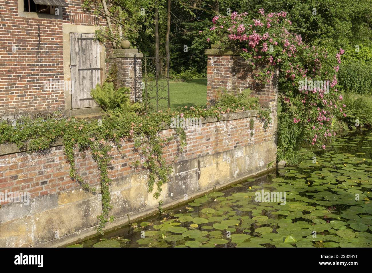 Mur de briques avec rosiers grimpants, nénuphars à la surface de l'eau, Haus Welbergen, Ochtrup-Welbergen, Muensterland, Rhénanie du Nord-Westphalie, Allemagne, Europ Banque D'Images