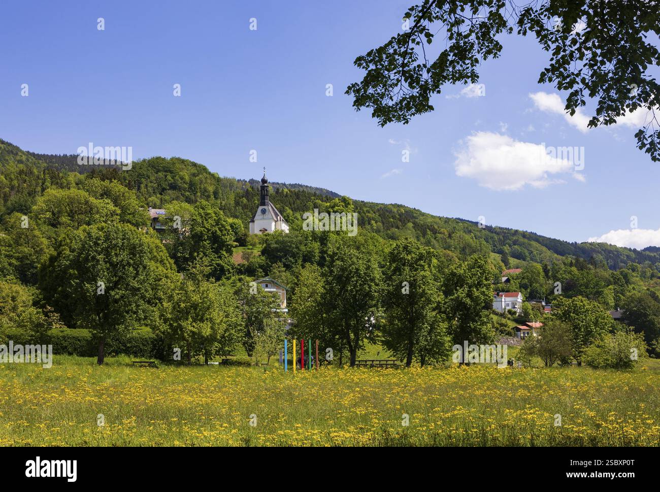 Pré de fleurs de printemps avec église de pèlerinage Mariahilf, Hilfbergkirche, Mondsee, Salzkammergut, haute-Autriche, Autriche, Europe Banque D'Images