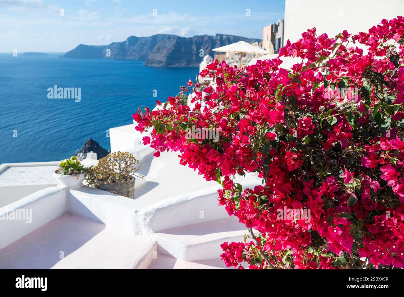 Fleurs de bougainvilliers rouges devant les façades blanches et la vue sur la mer dans la caldeira de Santorin, mer Égée, Grèce Banque D'Images