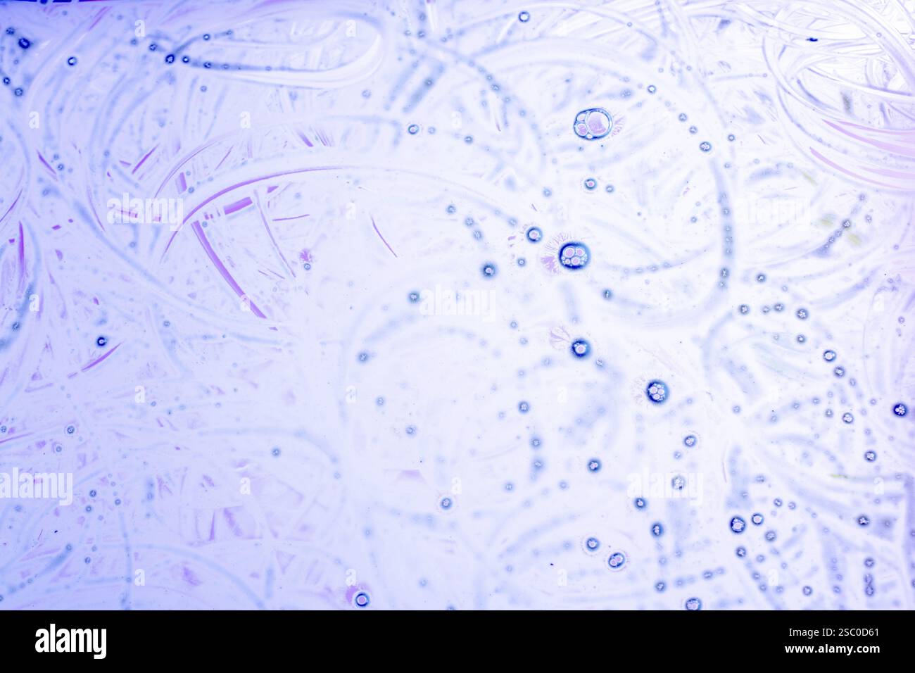 Bulles d'air à l'intérieur de la base de l'eau forment des configurations Banque D'Images