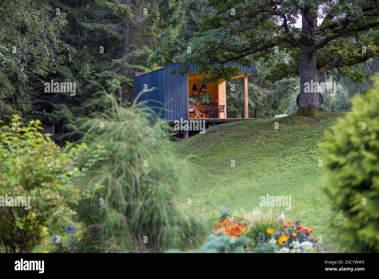 Cabine moderne dans un cadre forestier tranquille. Le design contemporain se marie à la nature. Retraite paisible avec un grand arbre et sièges en plein air. Parfait pour Banque D'Images