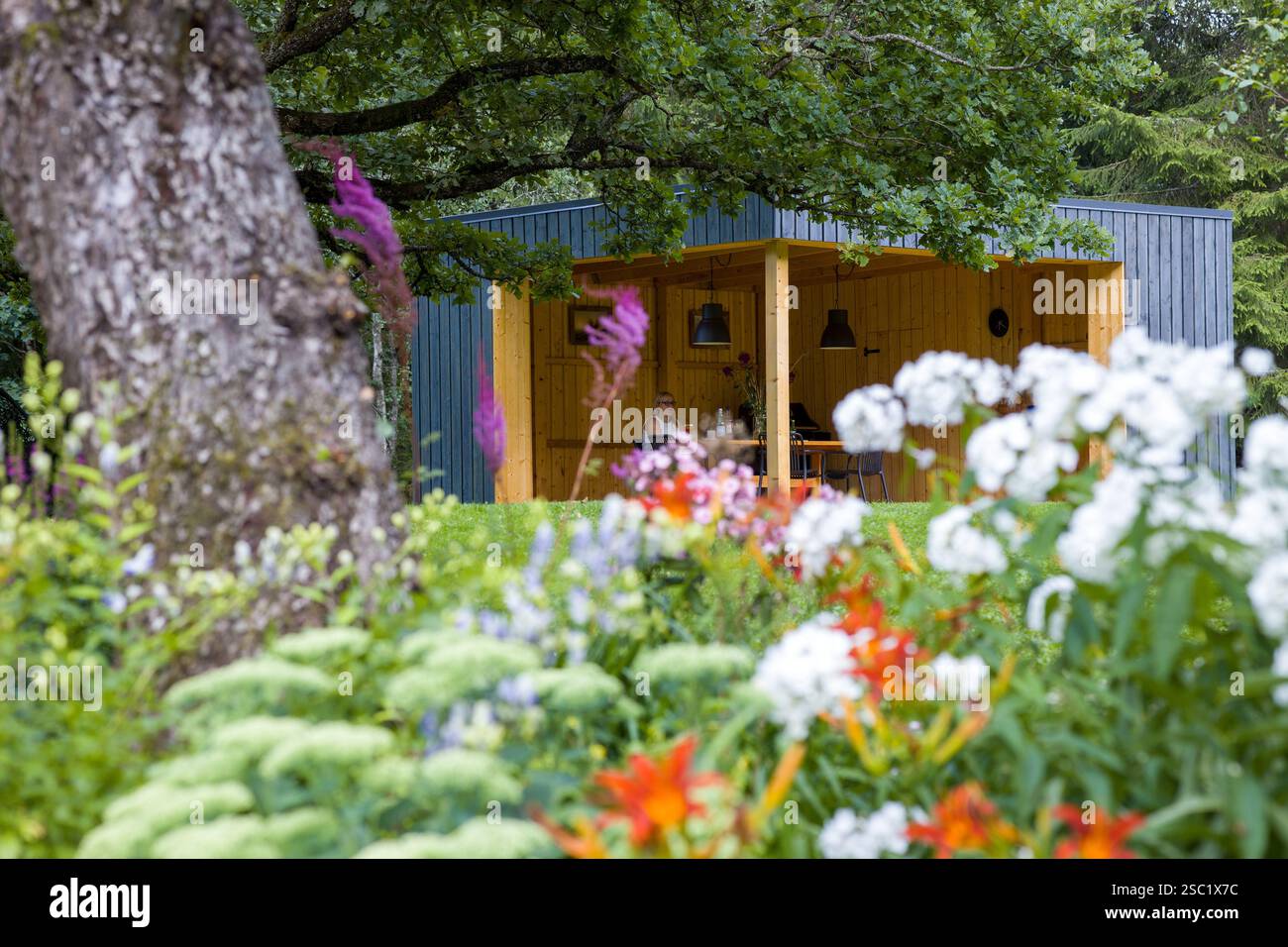 Cabine moderne dans un cadre forestier tranquille. Le design contemporain se marie à la nature. Retraite paisible avec un grand arbre et sièges en plein air. Parfait pour Banque D'Images