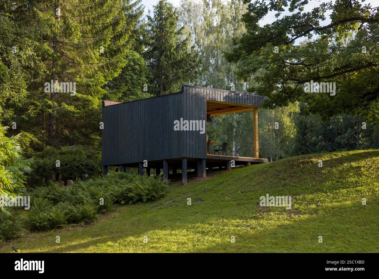 Cabine moderne dans un cadre forestier tranquille. Le design contemporain se marie à la nature. Retraite paisible avec un grand arbre et sièges en plein air. Parfait pour Banque D'Images