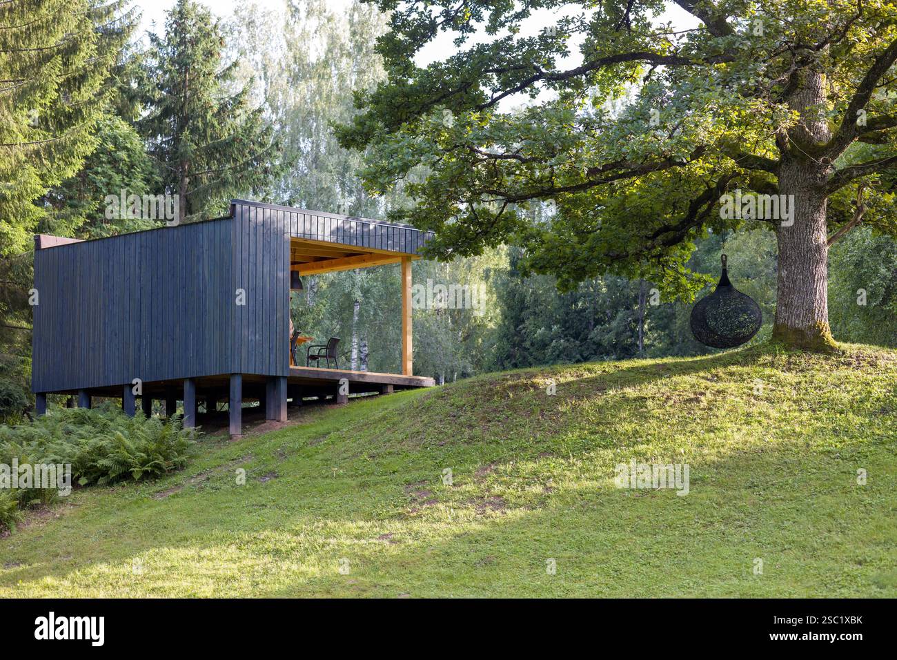 Cabine moderne dans un cadre forestier tranquille. Le design contemporain se marie à la nature. Retraite paisible avec un grand arbre et sièges en plein air. Parfait pour Banque D'Images