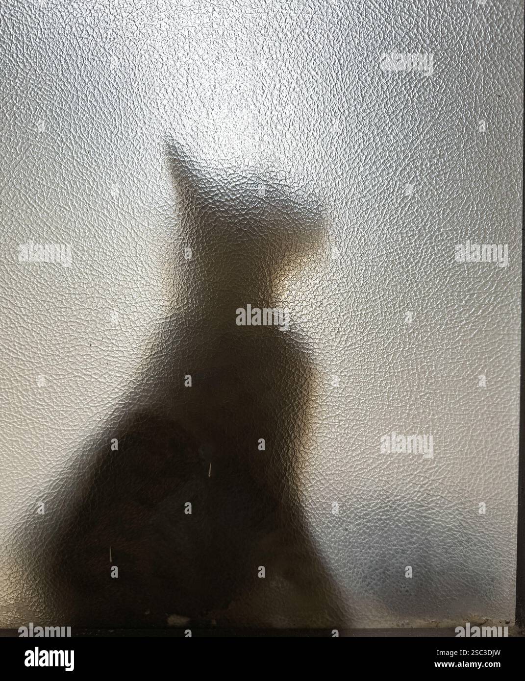 Silhouette d'un chat capturé assis derrière un verre dépoli Banque D'Images