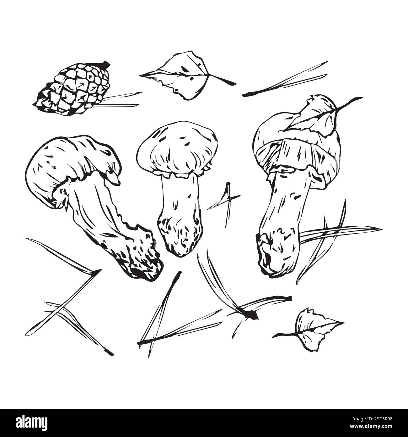 Composition vectorielle de champignons d'automne, de feuilles et d'aiguilles et de cônes de pin, dessinés à la main avec une doublure. Adapté à votre conception Illustration de Vecteur