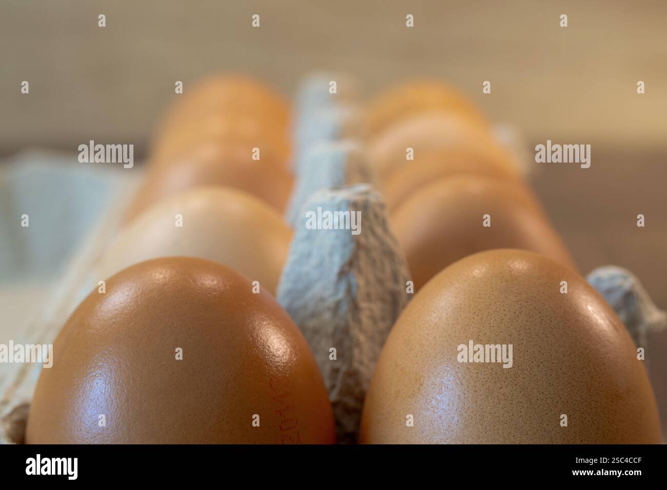 oeufs de poule dans la boîte de carton près Banque D'Images