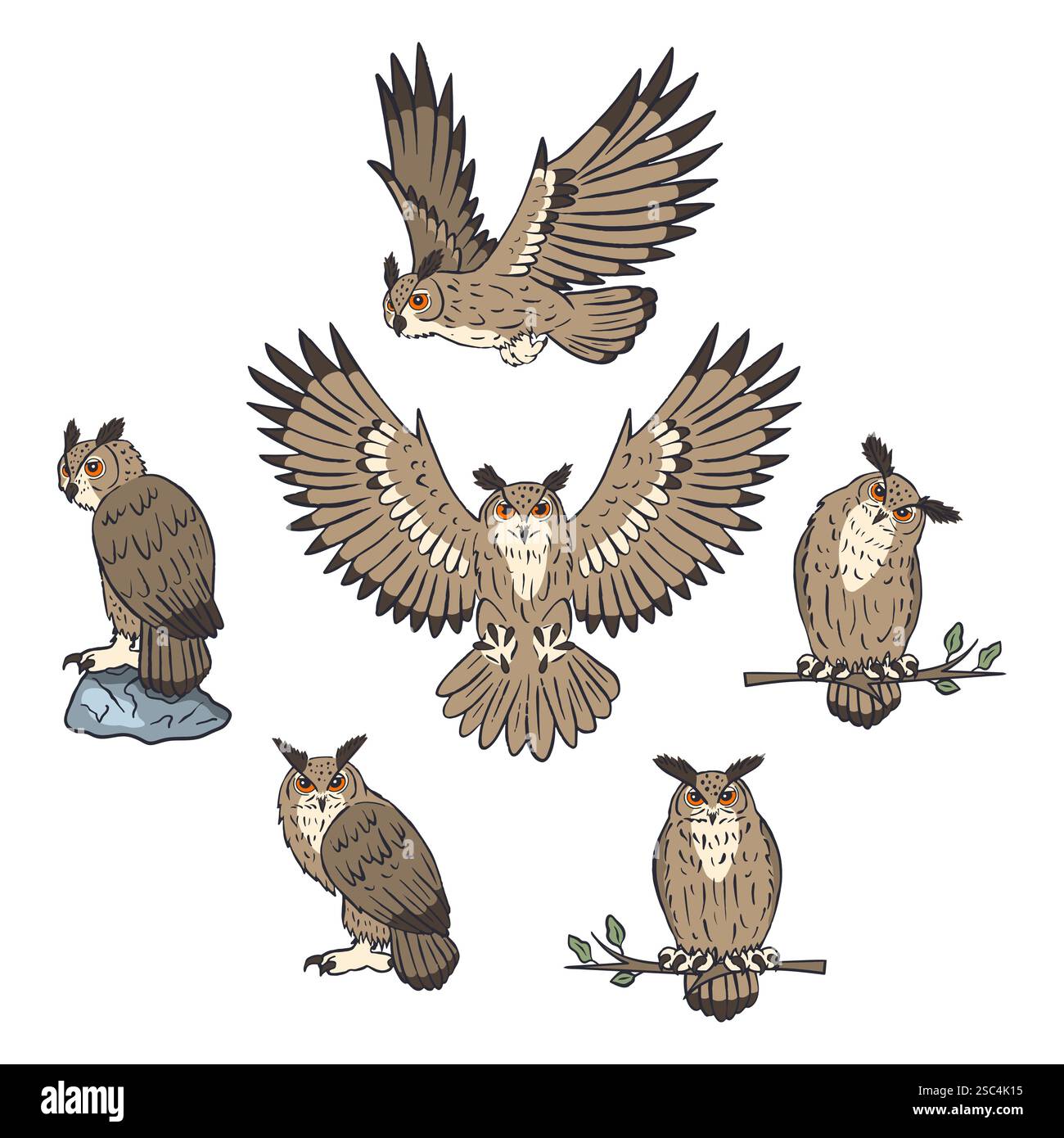 Ensemble de lignes dessinées à la main aigle-hibou assis et volant isolé sur fond blanc Illustration de Vecteur