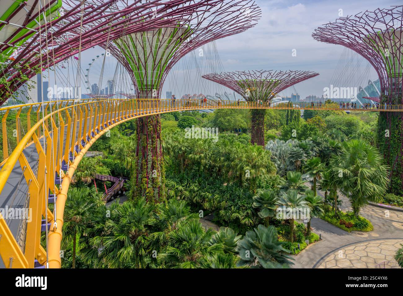 Les jardins verticaux ingénieux de Supertree Grove dans les jardins de Singapour près de la baie Banque D'Images