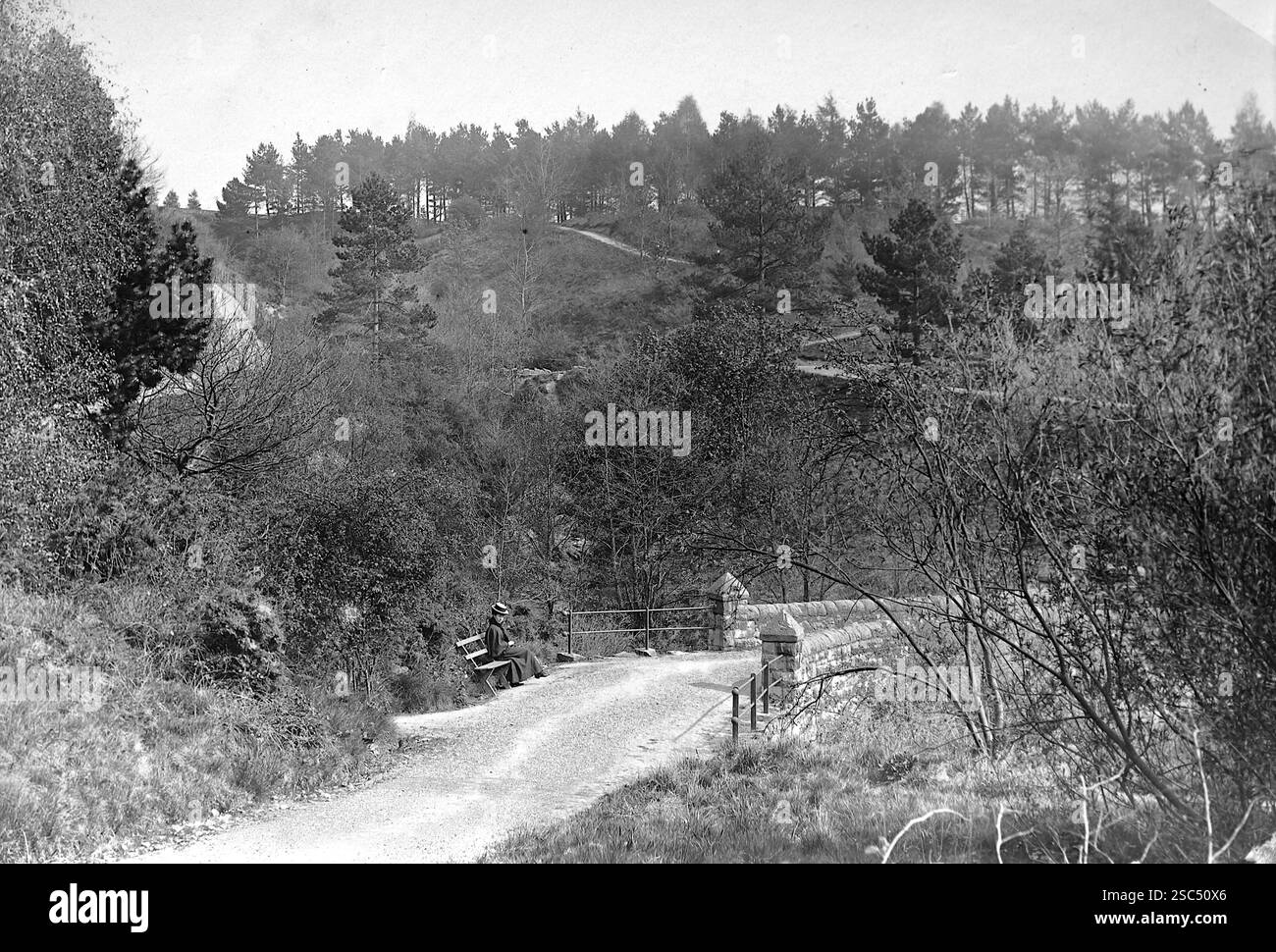 Les jardins publics, Llandrindod Wells, Powys, pays de Galles, avec une dame assise sur un banc. C1900s, monochrome : d'une importante collection historique de photographies originales et inattribuées de l'albumen de la fin de l'époque victorienne au début de l'époque édouardienne : une tournée britannique comprenant le Staffordshire, le Warwickshire et le nord du pays de Galles. La qualité des originaux était variable et la plupart étaient autour de 108x165mm. Banque D'Images