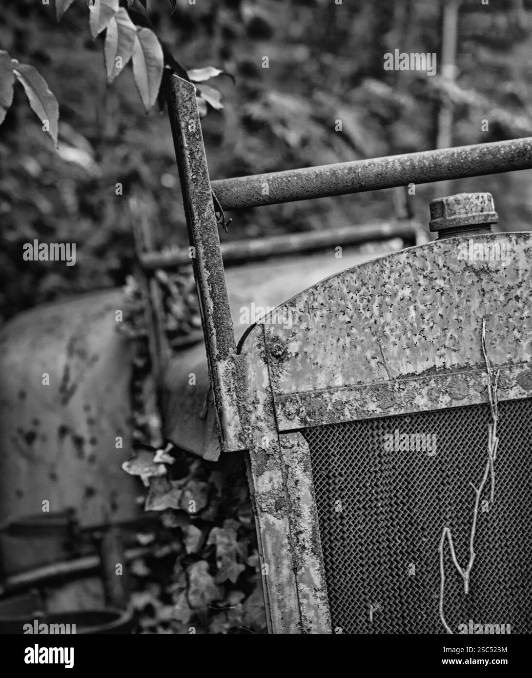 Photo en noir et blanc d'un tracteur rouillé et abandonné avec des vignes envahies, mettant en évidence la décomposition, les machines anciennes et la négligence rurale. Banque D'Images