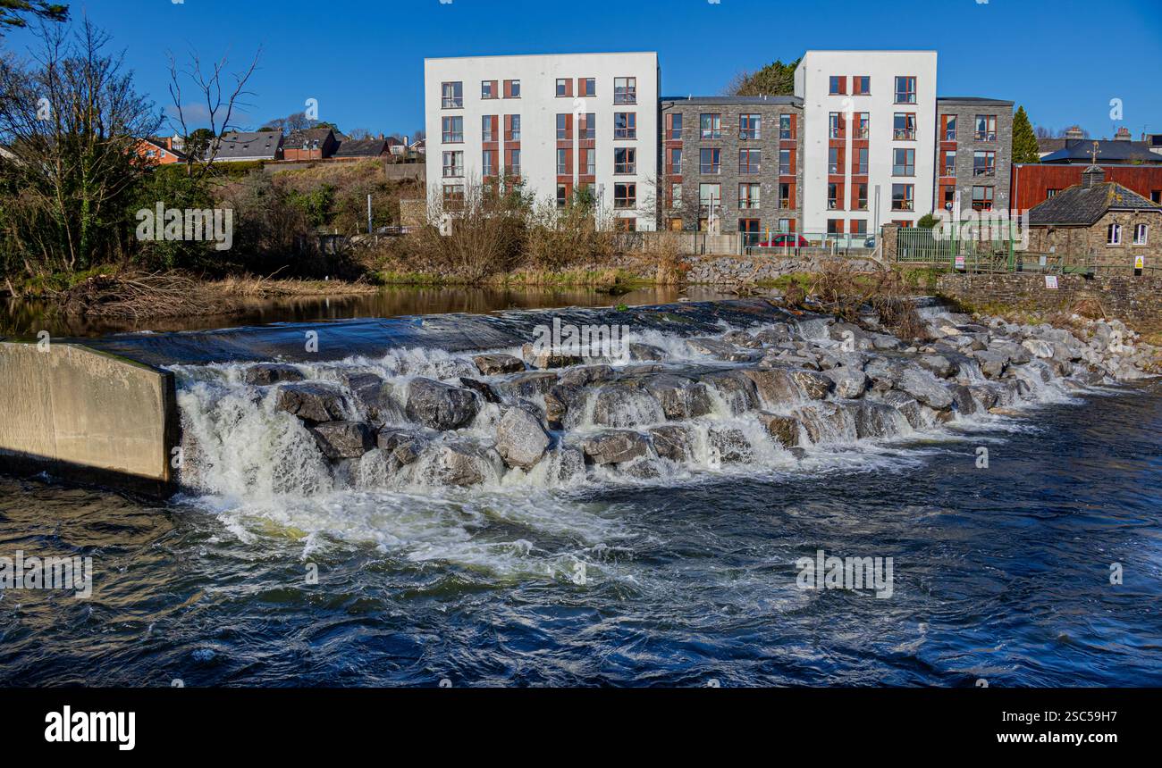 Échelle de saumon en pleine inondation rivière Bandon Bandon West Cork Irlande Banque D'Images