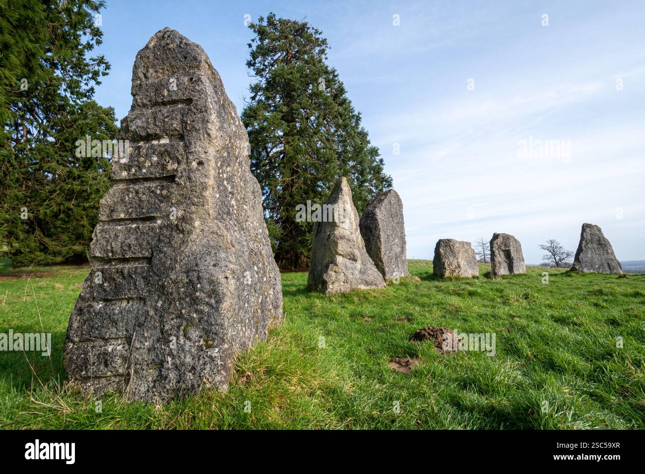 Les Dragonstones sur Hascombe Hill, un cercle de pierre moderne dans le paysage national de Surrey Hills, Surrey, Angleterre, Royaume-Uni, pendant l'hiver Banque D'Images