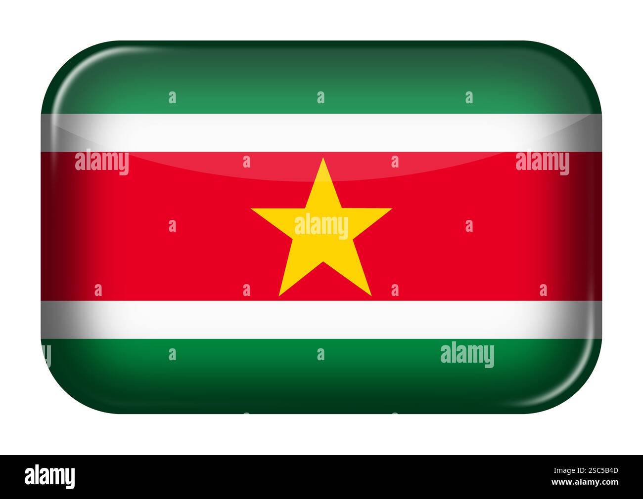 Icône Web Suriname bouton rectangle Banque D'Images