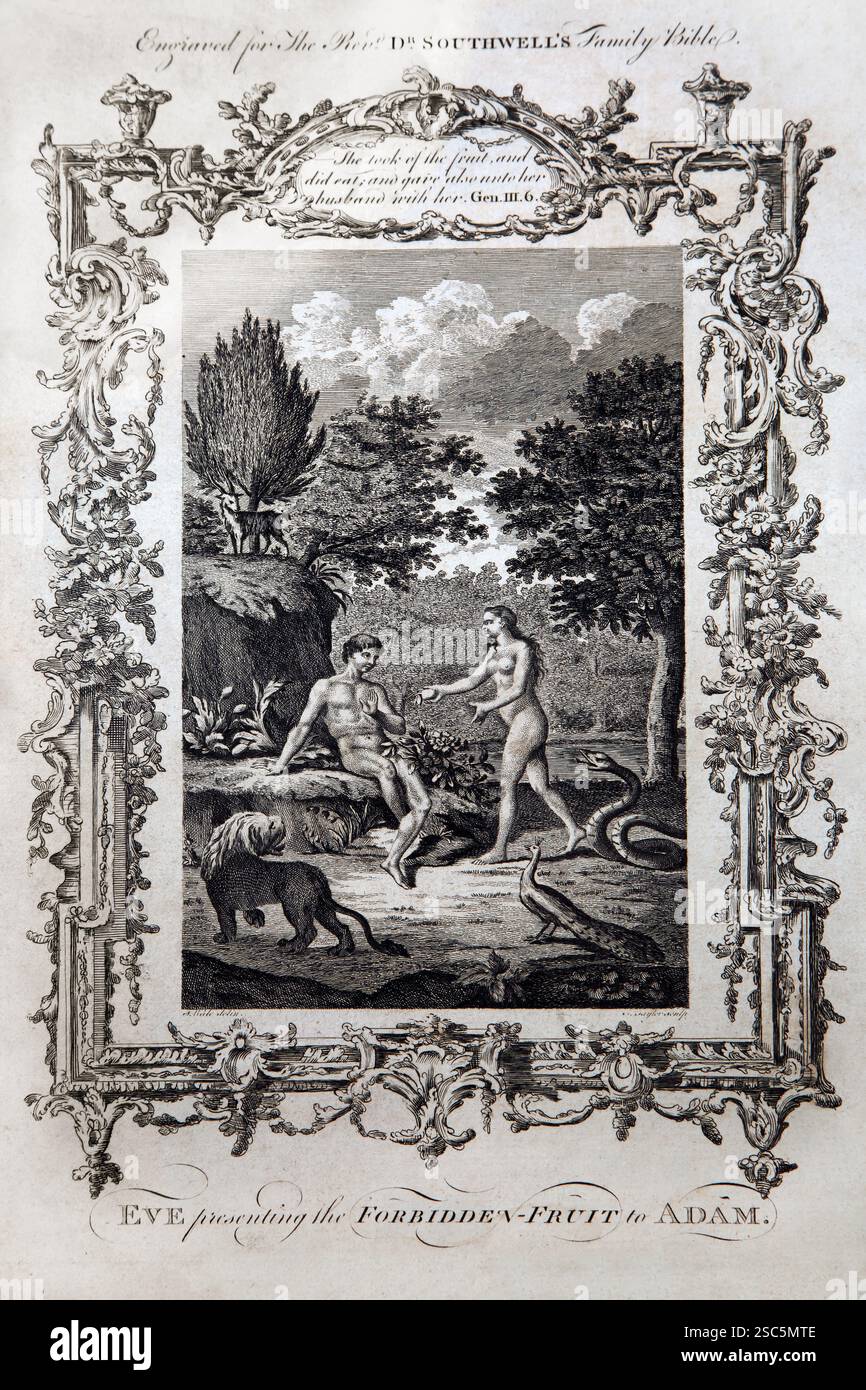 Gravure sur plaque de cuivre d'Ève présentant le fruit interdit à Adam (Genèse) de l'Antiquité 1780 la Bible de la famille du révérend Dr Southwell (The Univers Banque D'Images