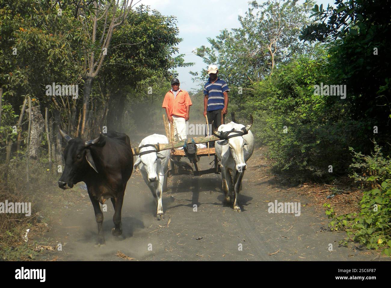 Paesants. Copan. Honduras. Banque D'Images