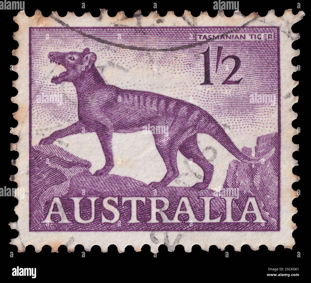 Australie - vers 1961 : timbre-poste avec illustration vintage d'un tigre de tasmanie thylacine éteint. Banque D'Images