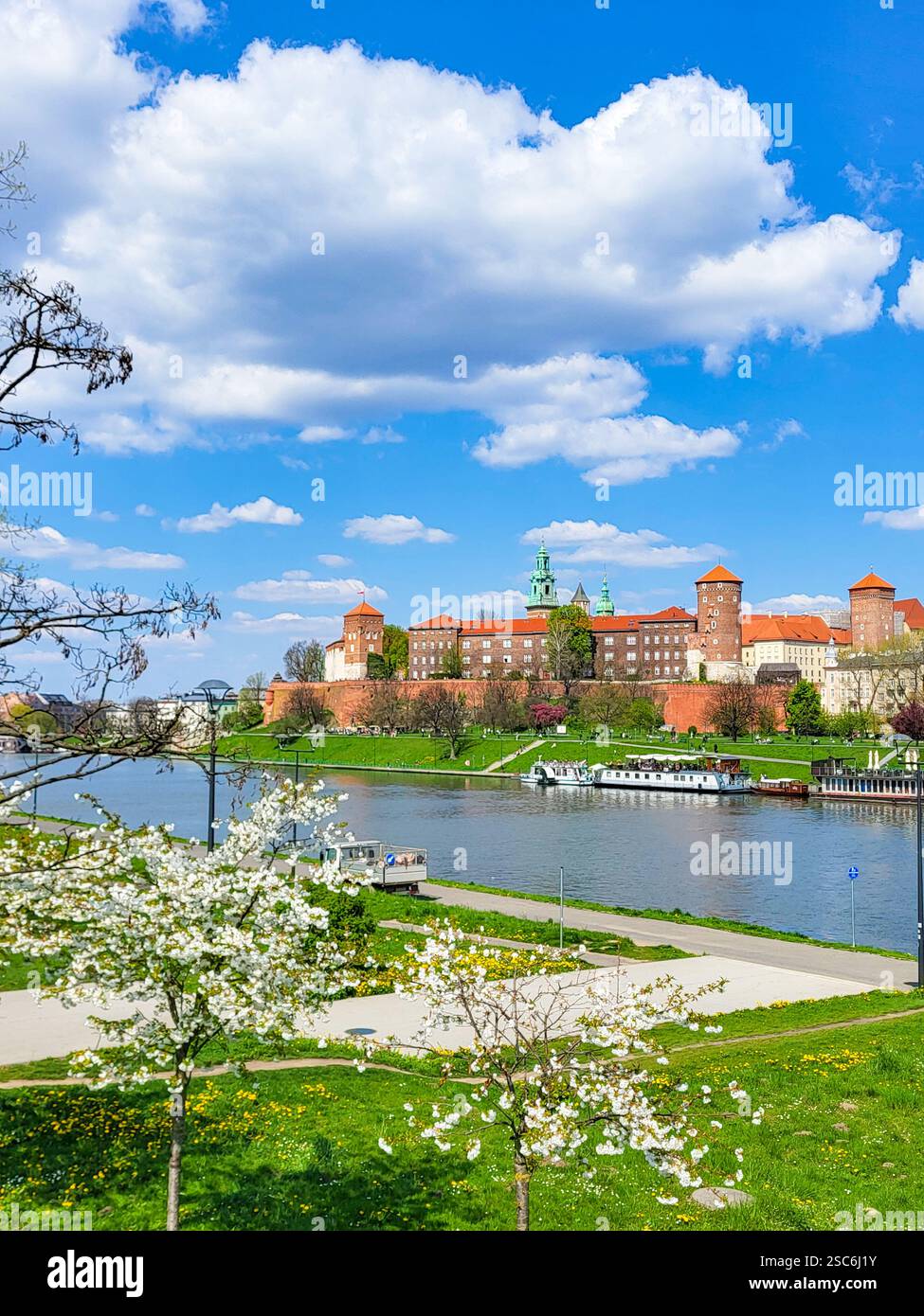 Vue sur le château de Wawel et la rivière Vistule le jour ensoleillé de printemps, Cracovie, Pologne Banque D'Images