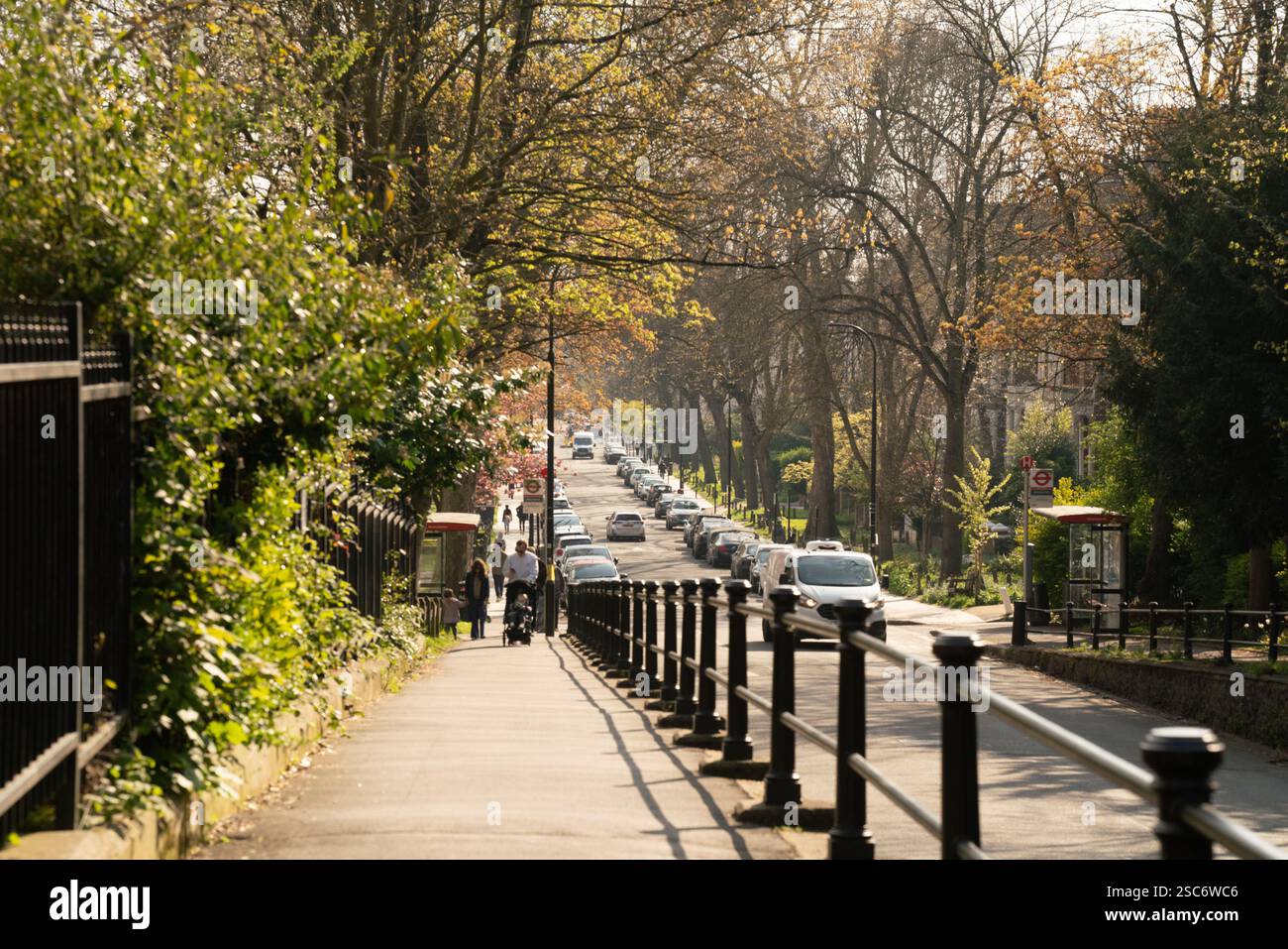 Piétons et voitures par une journée ensoleillée dans la rue de Primrose Hill, Londres, Royaume-Uni. La circulation coule le long de la route bordée d'arbres. Banque D'Images