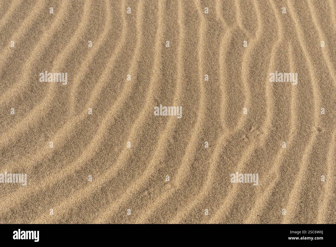 Texture de fond ondulée de sable dans le désert de Mojave Banque D'Images