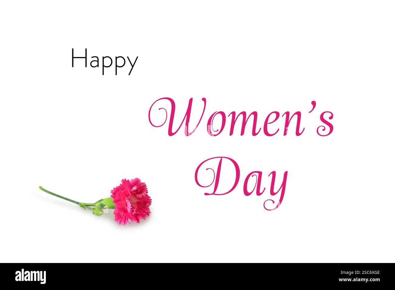 Carte Happy Womens Day avec fleur d'oeillet rose isolé sur fond blanc Banque D'Images