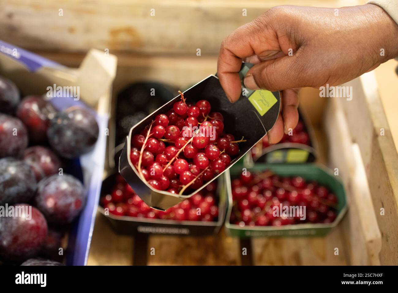 La personne tient un contenant de groseilles rouges dans une banque alimentaire communautaire Banque D'Images