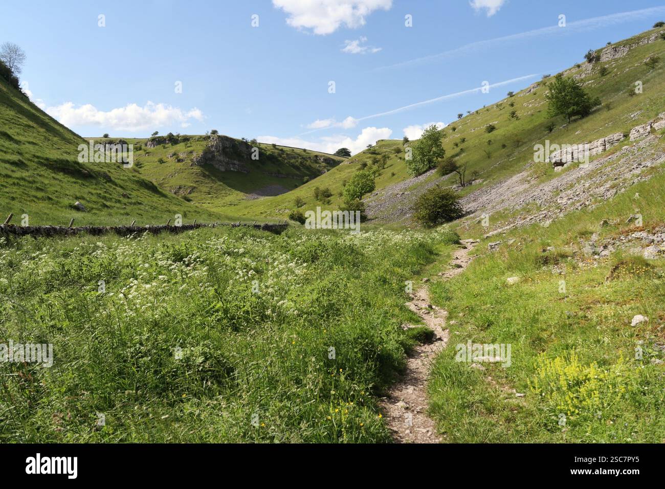 Lathkill Dale dans le parc national du Derbyshire Peak District en Angleterre. Paysage pittoresque de la campagne anglaise, campagne britannique Banque D'Images