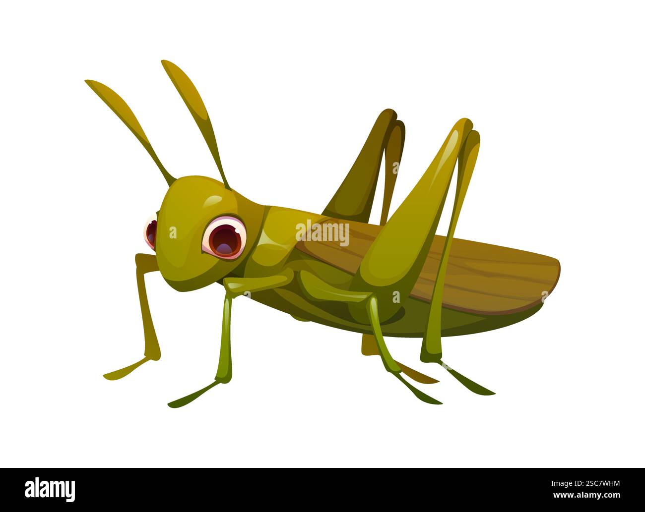 Dessin animé personnage d'insecte criquet drôle avec de grands yeux expressifs, des ailes et des jambes proéminentes. Vecteur isolé insecte naturel ou parasite criquet pèlerin est un Illustration de Vecteur