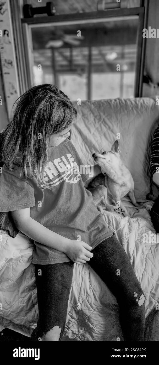Une fille assise et caressant un chihuahua Banque D'Images