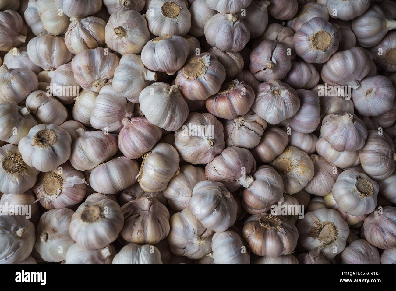 La stalle d'ail au marché Banque D'Images