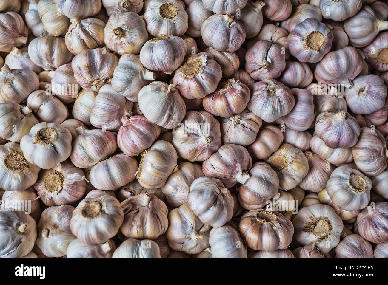 L'étal d'ail au marché Banque D'Images