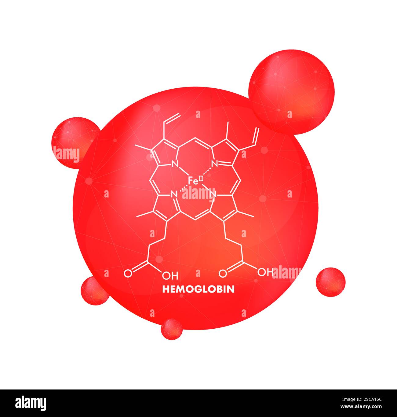 Structure moléculaire de l'hémoglobine avec circulation des globules rouges Illustration de Vecteur