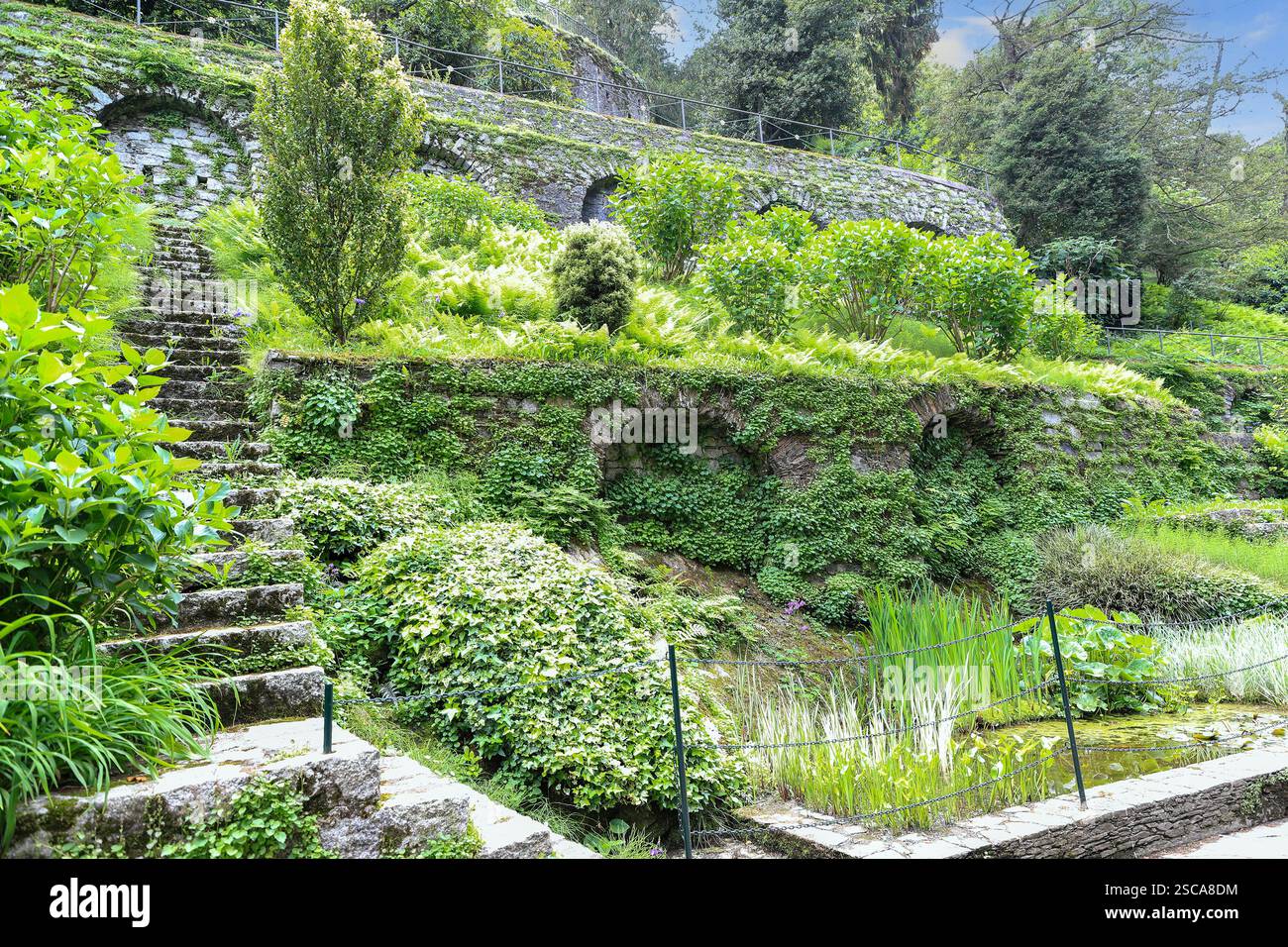 Végétation poussant sur les murs aux jardins botaniques de Villa Taranto, Lac majeur, Pallanza, Italie, Europe Banque D'Images