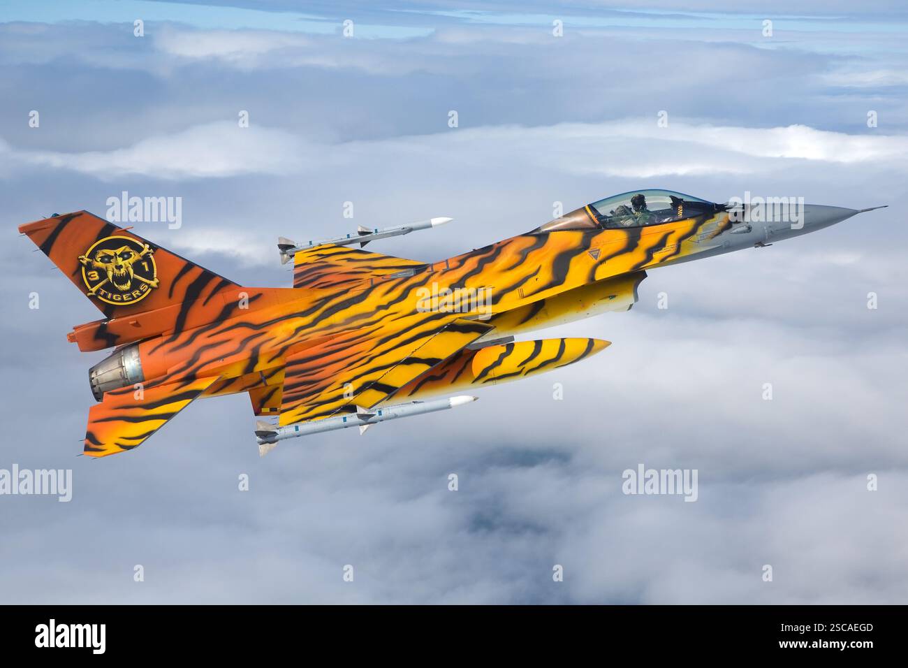 Le F-16 Tiger de l'armée de l'air belge, un chasseur à réaction multirôle, est équipé d'un moteur Pratt & Whitney F100-PW-200, capable de dépasser Mach 2. Cet avion est principalement utilisé pour la défense aérienne, les attaques au sol et les missions de reconnaissance. Banque D'Images