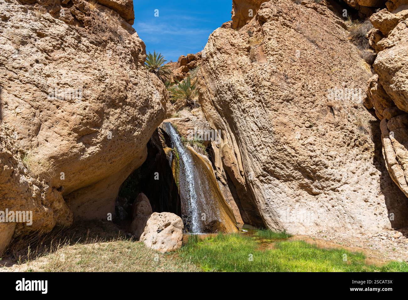 Parc national de Bouhedma dans le sud de la Tunisie Banque D'Images