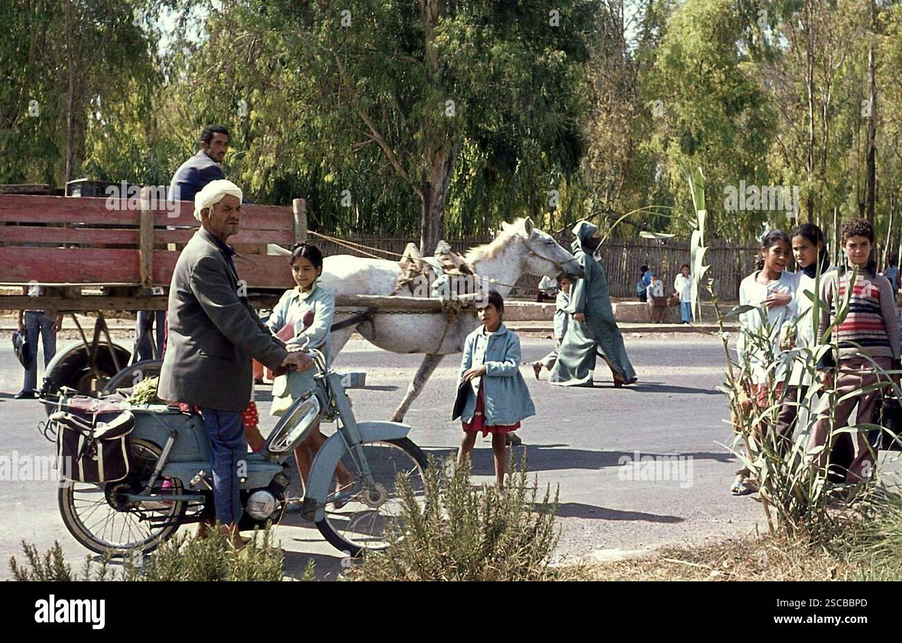 L'homme sur un cyclomoteur, un chariot à cheval et les enfants près de Sidi Kacem au Maroc. Banque D'Images