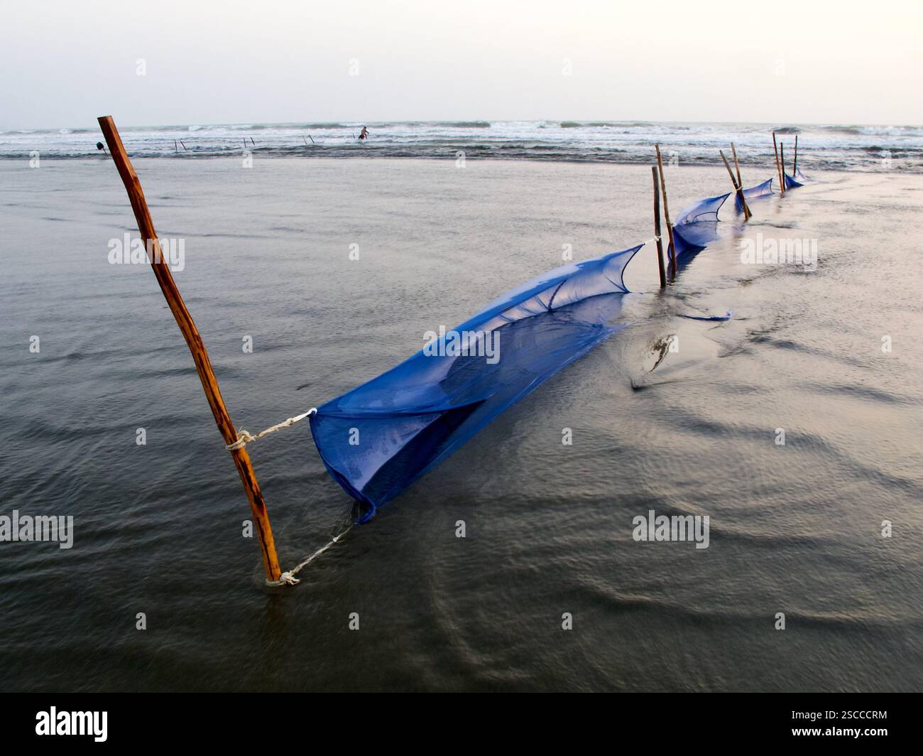 Des filets de pêche à marée installés le long de la plage de Cox’s Bazar à Inani, au Bangladesh, sont utilisés pour la pêche côtière traditionnelle à marée basse et haute. Banque D'Images