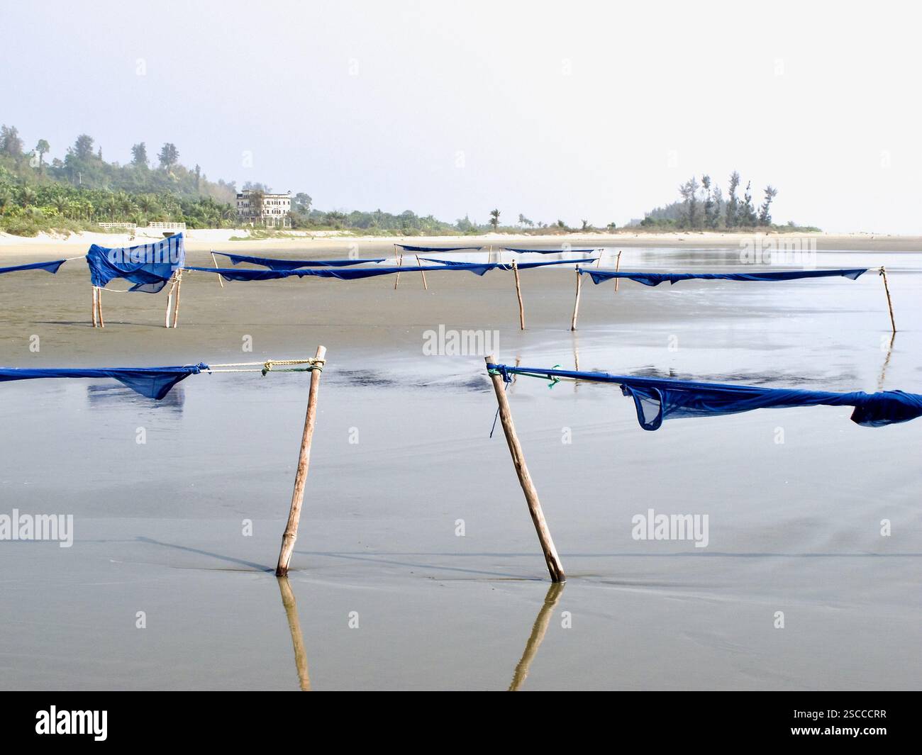 Des filets de pêche à marée installés le long de la plage de Cox’s Bazar à Inani, au Bangladesh, sont utilisés pour la pêche côtière traditionnelle à marée basse et haute. Banque D'Images