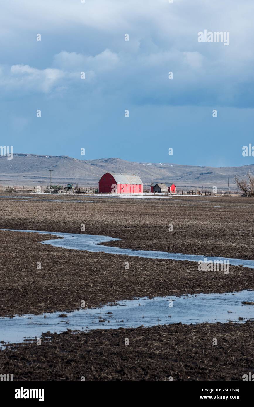 Smelt ruisseau sur une ferme dans la vallée de Camas en Idaho. Banque D'Images