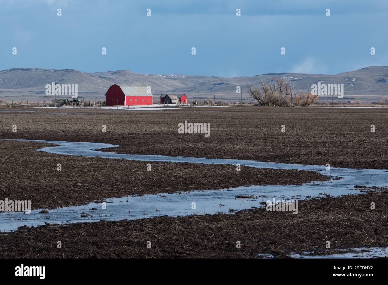 Smelt ruisseau sur une ferme dans la vallée de Camas en Idaho. Banque D'Images