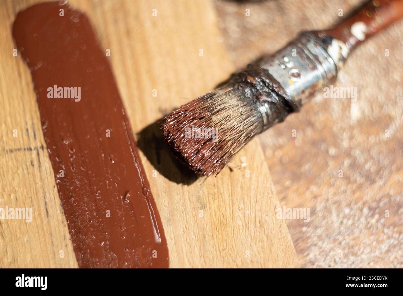 brosse pour peindre le bois. gros plan. couleur marron Banque D'Images