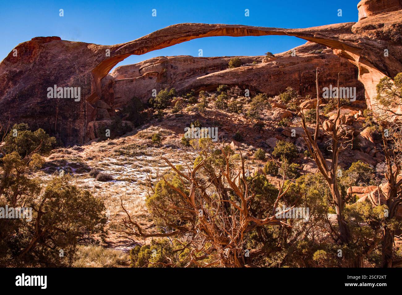 Parc national des arches par un matin clair de janvier. La beauté et le paysage du parc changent radicalement en fonction des conditions météorologiques. Banque D'Images