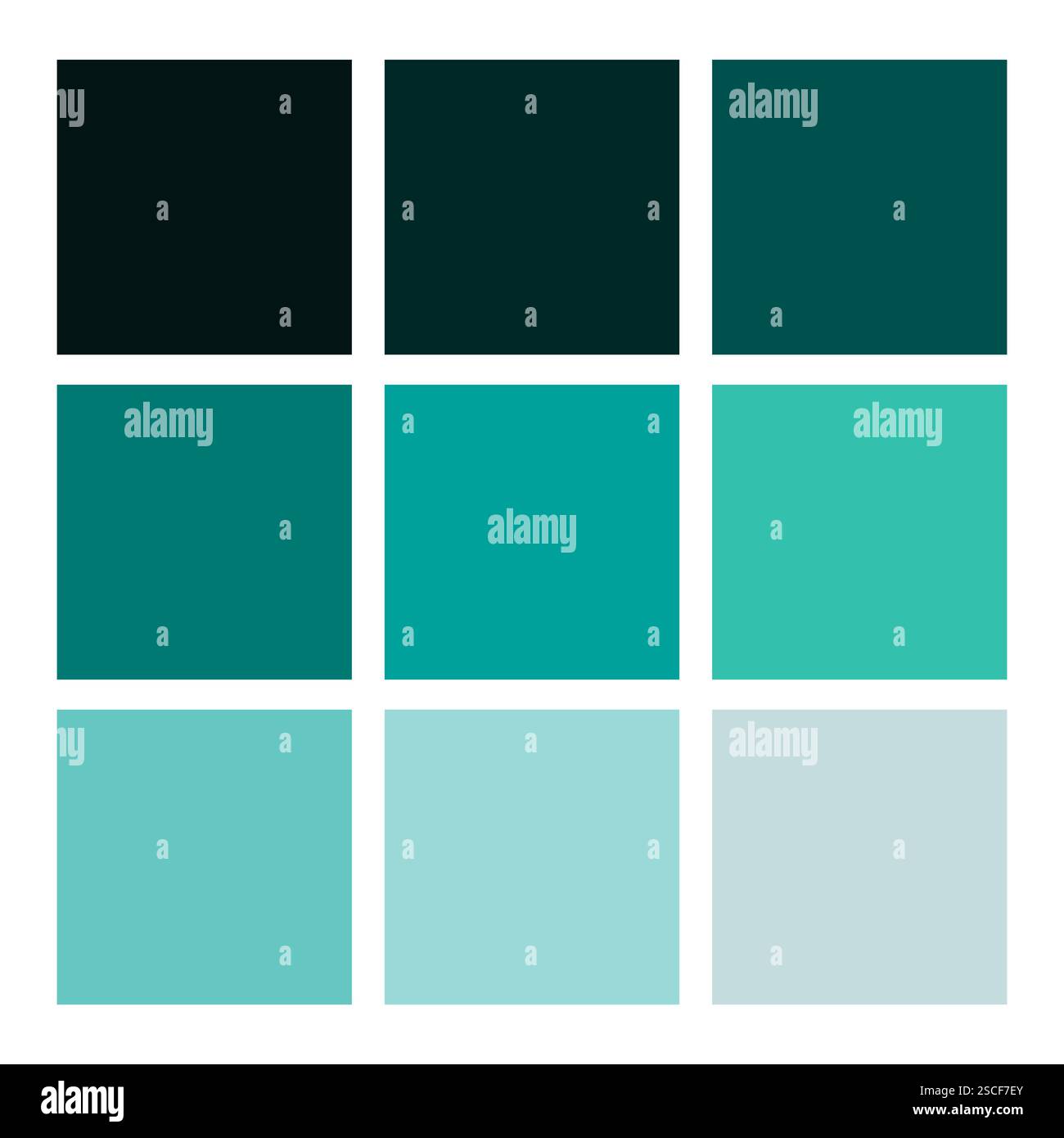 Palette de couleurs sarcelle. Dégradé défini. Collection Cool Shades. Grille vectorielle équilibrée. Illustration de Vecteur