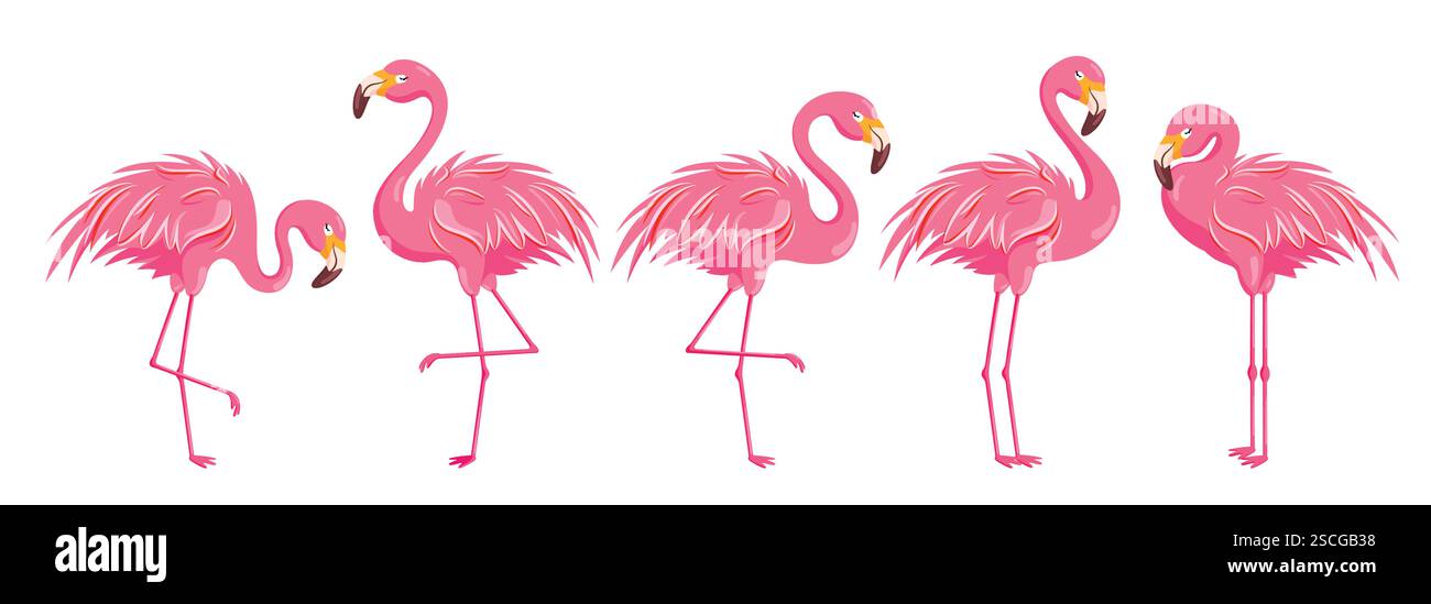Jeu de cliparts de dessin rose Flamingo. Oiseau d'été mignon debout flamant clip art collection d'icônes tropicales illustration vectorielle d'éléments. Illustration de Vecteur