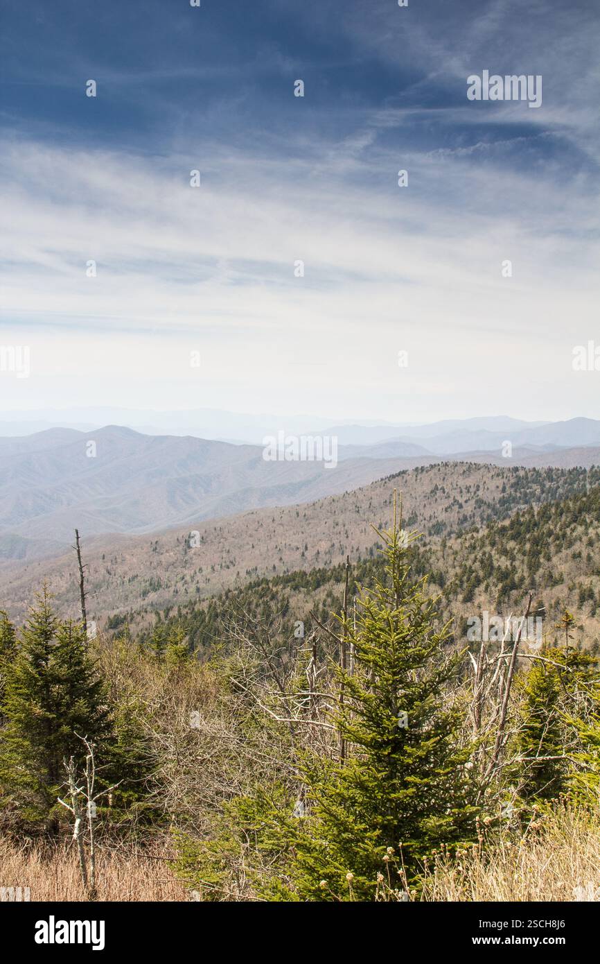 Vue panoramique sur la montagne. Des sommets superposés, des forêts et un ciel dégagé. Personne. Banque D'Images