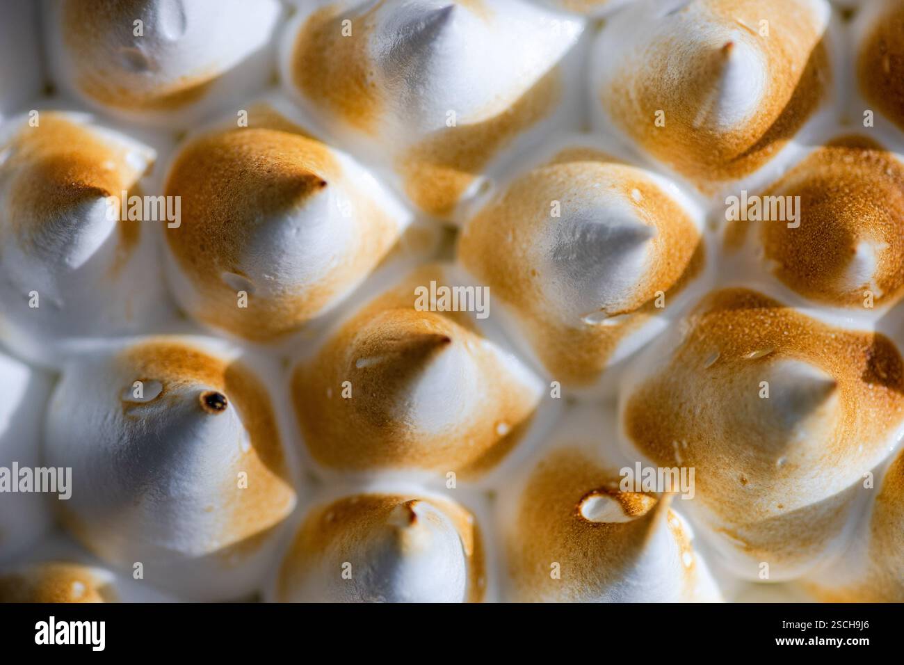 Une image en gros plan montrant les pics magnifiquement dorés d'un gâteau au citron fait maison. La texture et le contraste des couleurs soulignent l'art de la pratique culinaire Banque D'Images