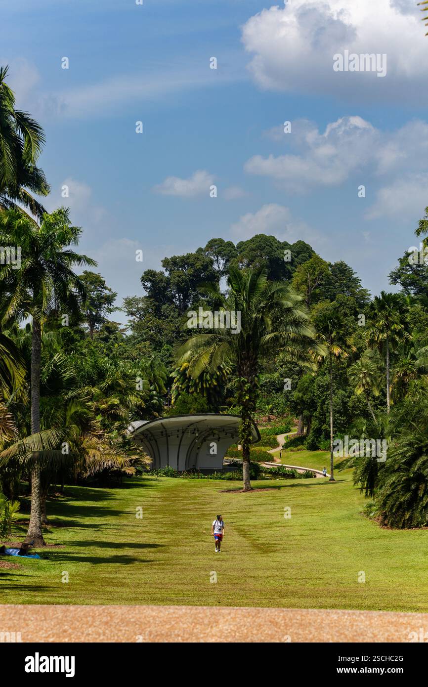 Vue panoramique verticale des jardins botaniques de Singapour en extérieur. Un homme voyageant au milieu de la pelouse profiter du soleil et du vent pour se détendre par lui-même. Banque D'Images